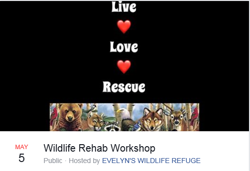 Wildlife Rehab Workshop