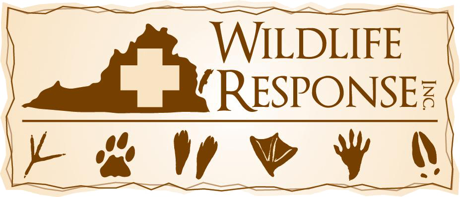 Wildlife Response, Inc.